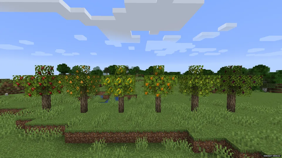 Simple Farming — Minecraft mod, rasm 5