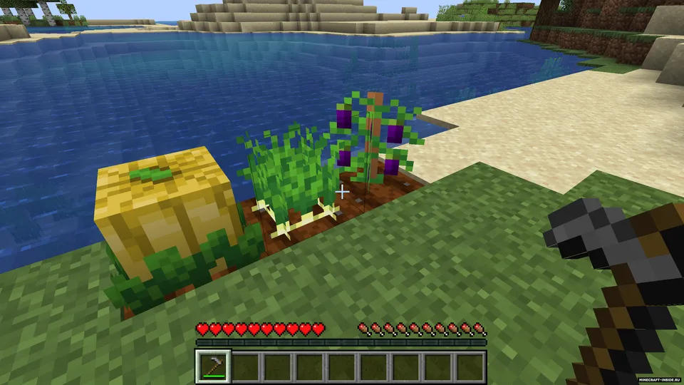 Simple Farming — Minecraft mod, rasm 7