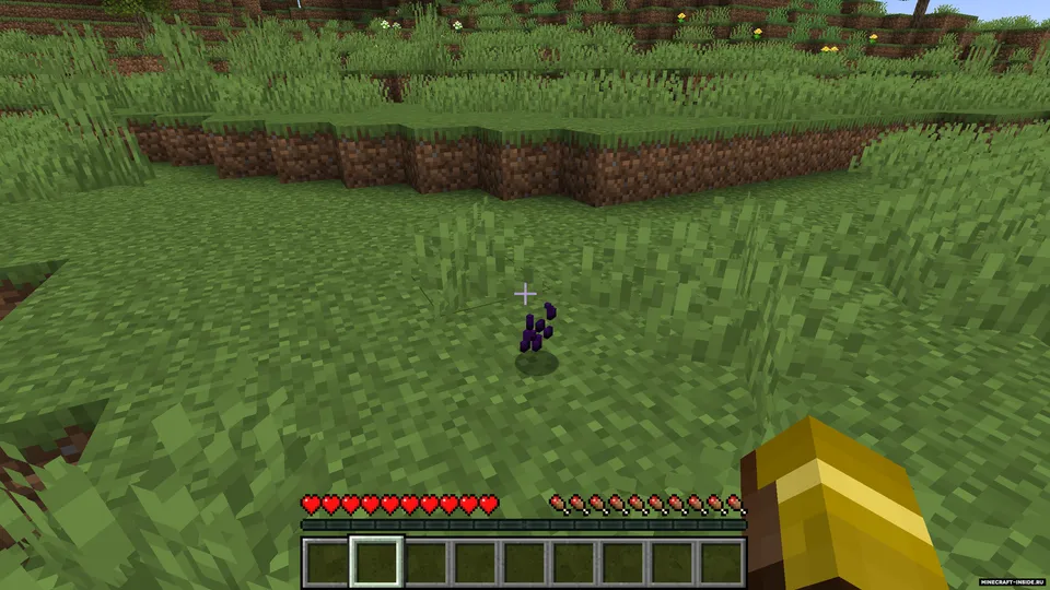 Simple Farming — Minecraft mod, rasm 8