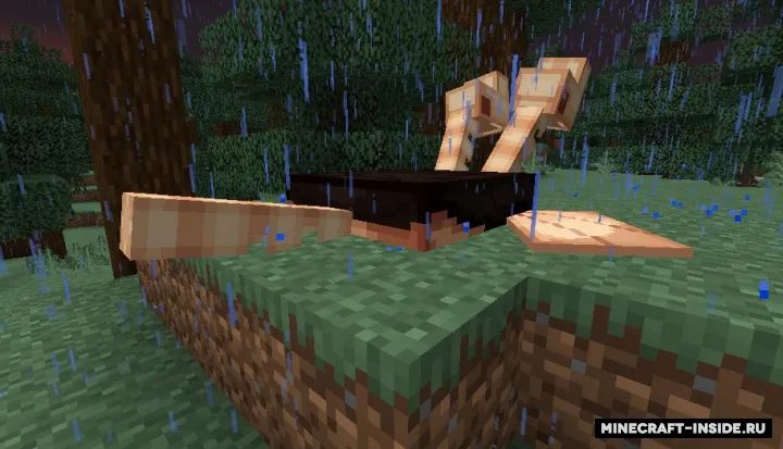 Blast From The Past — Minecraft mod, rasm 3
