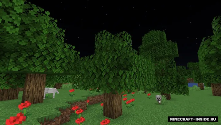 Brighter — Minecraft mod, rasm 2