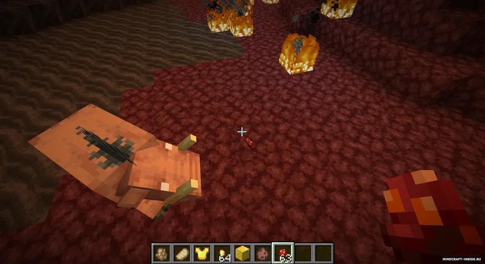 Sapience — Minecraft mod, rasm 3