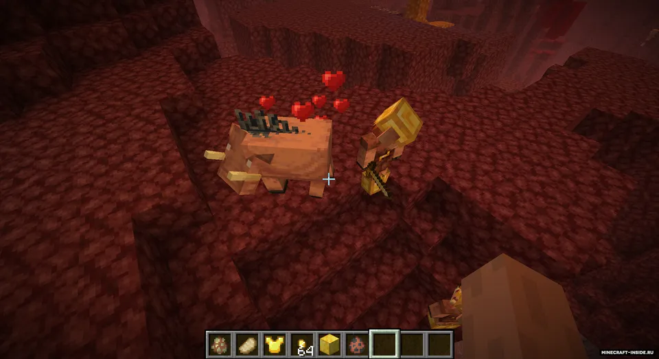 Sapience — Minecraft mod, rasm 6