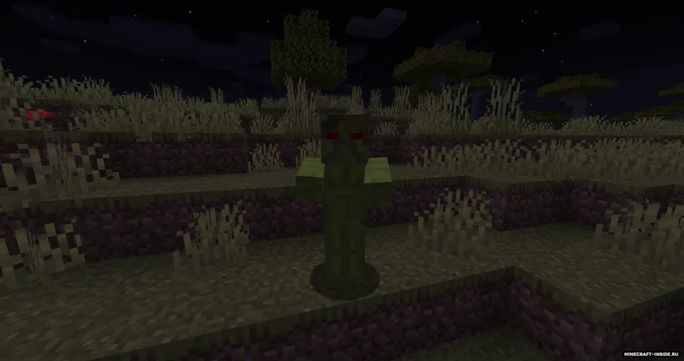Zombified — Minecraft mod, rasm 7