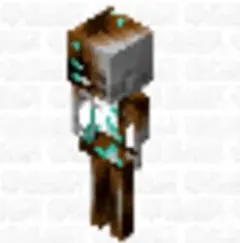 Nether Skeletons