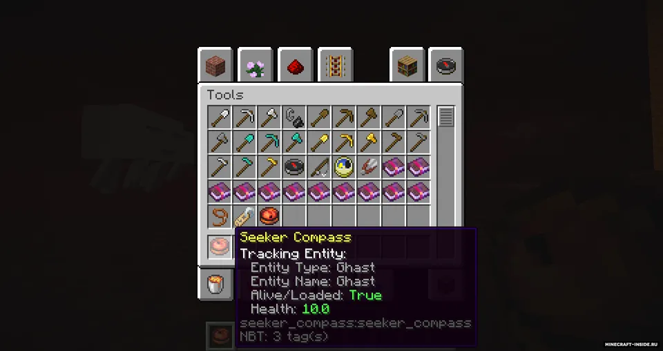 Seeker Compass — Minecraft mod, rasm 2