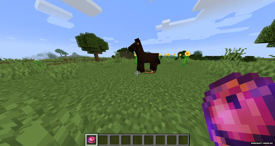 Seeker Compass — Minecraft mod, rasm 6