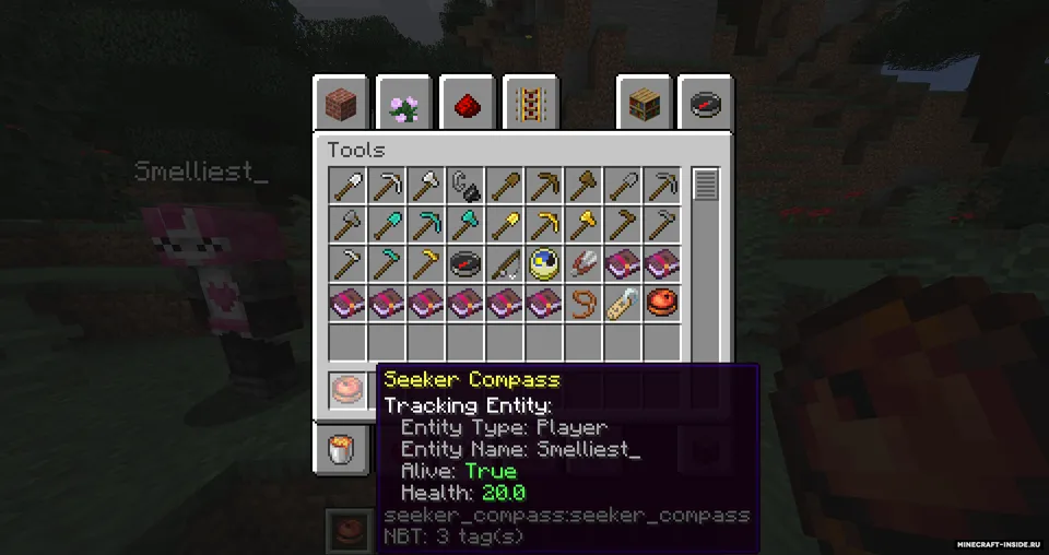 Seeker Compass — Minecraft mod, rasm 8
