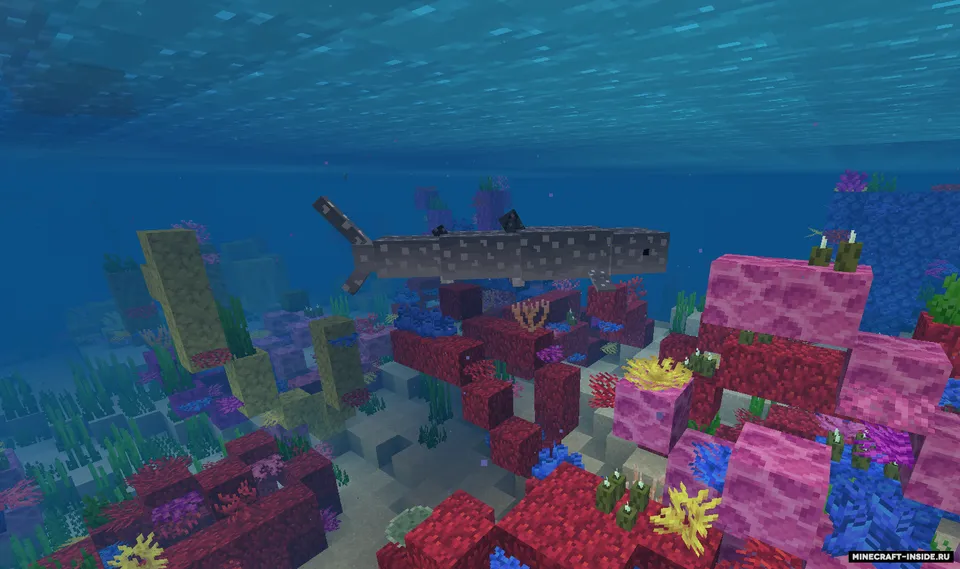 Endless Ocean: Adventures — Minecraft mod, rasm 5
