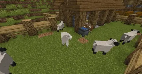 Wild Farm Craft