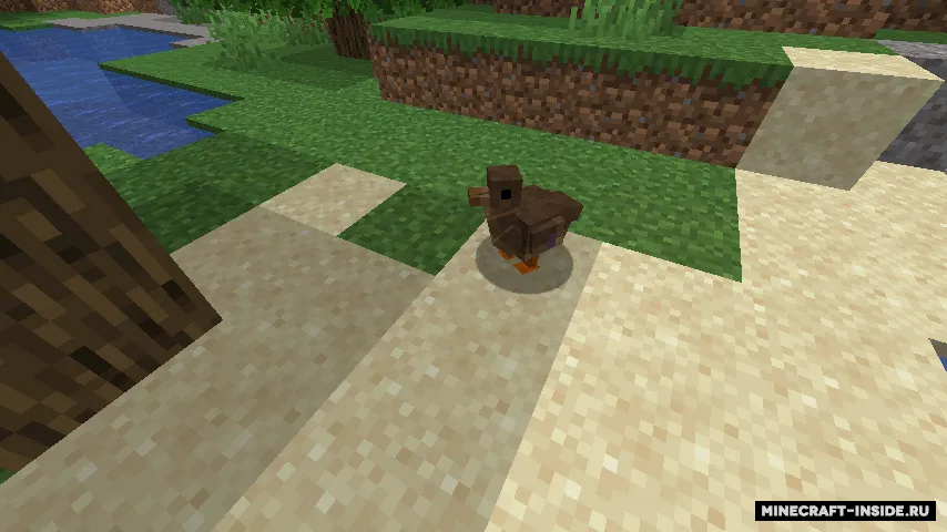 Wild Farm Craft — Minecraft mod, rasm 8