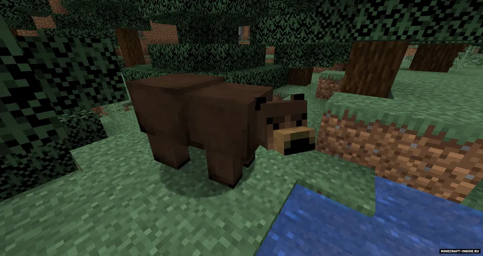 Grizzly bear — Minecraft mod, rasm 2