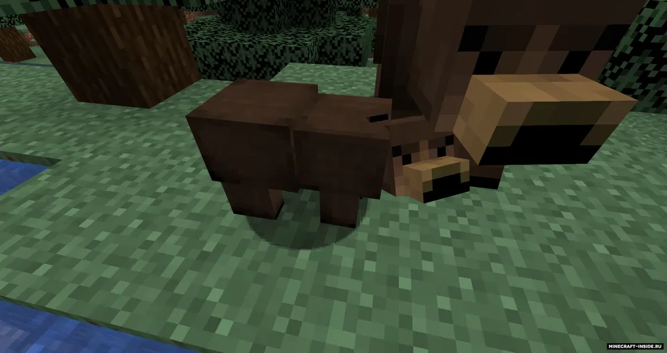 Grizzly bear — Minecraft mod, rasm 3