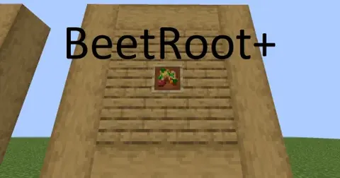 BeetRoot+