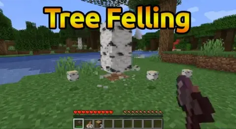 Tree Felling