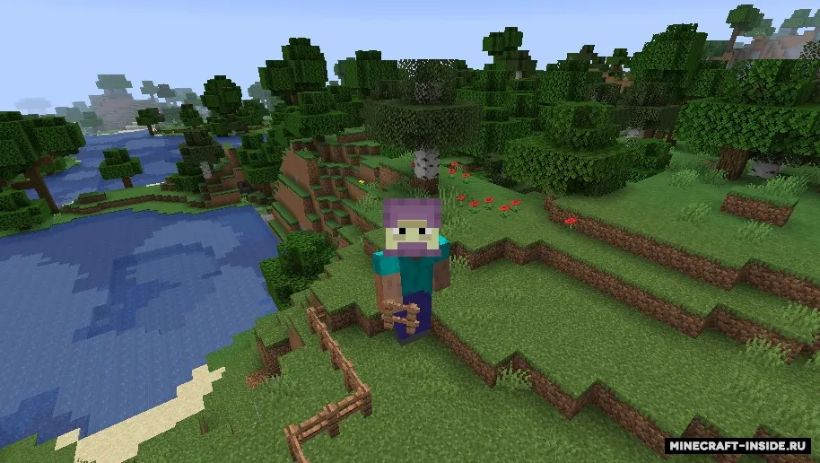 Crowns — Minecraft mod, rasm 2