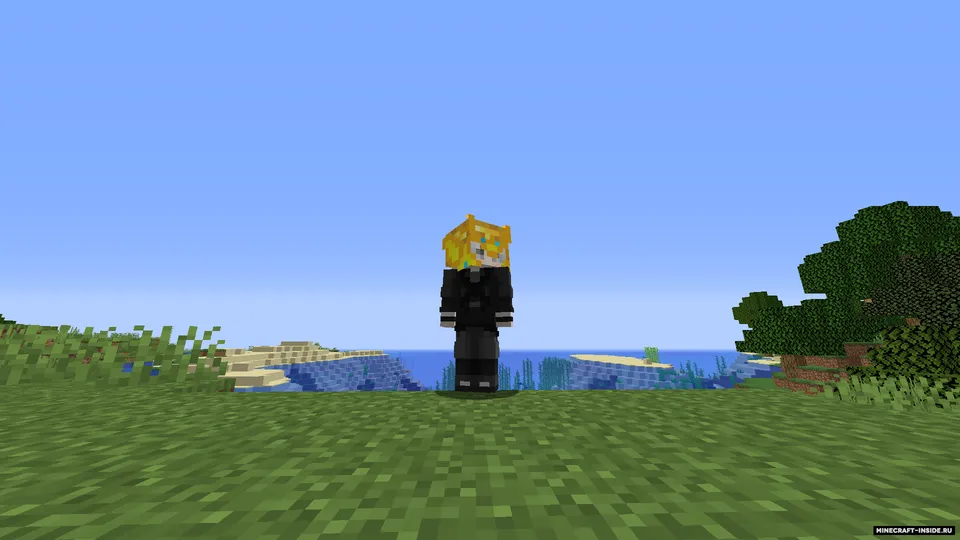 Crowns — Minecraft mod, rasm 3
