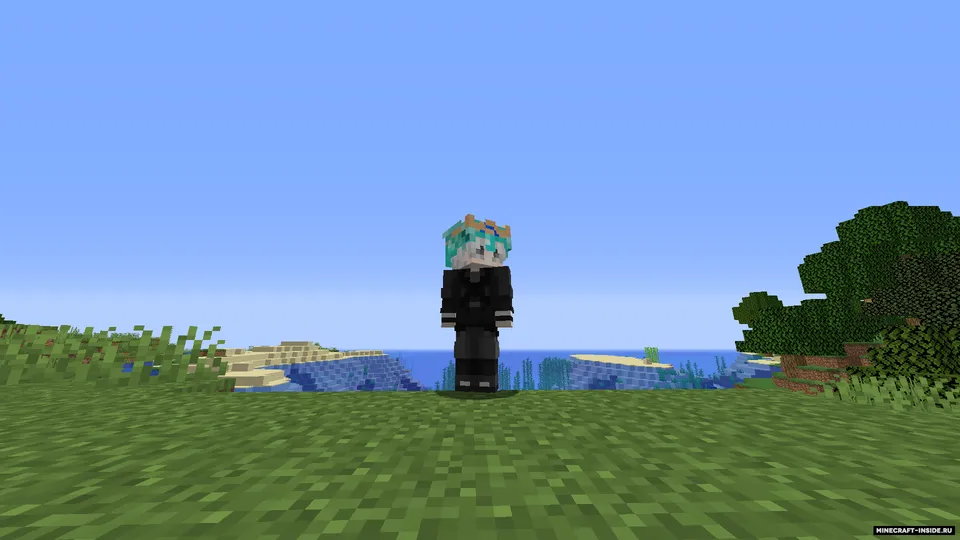 Crowns — Minecraft mod, rasm 4