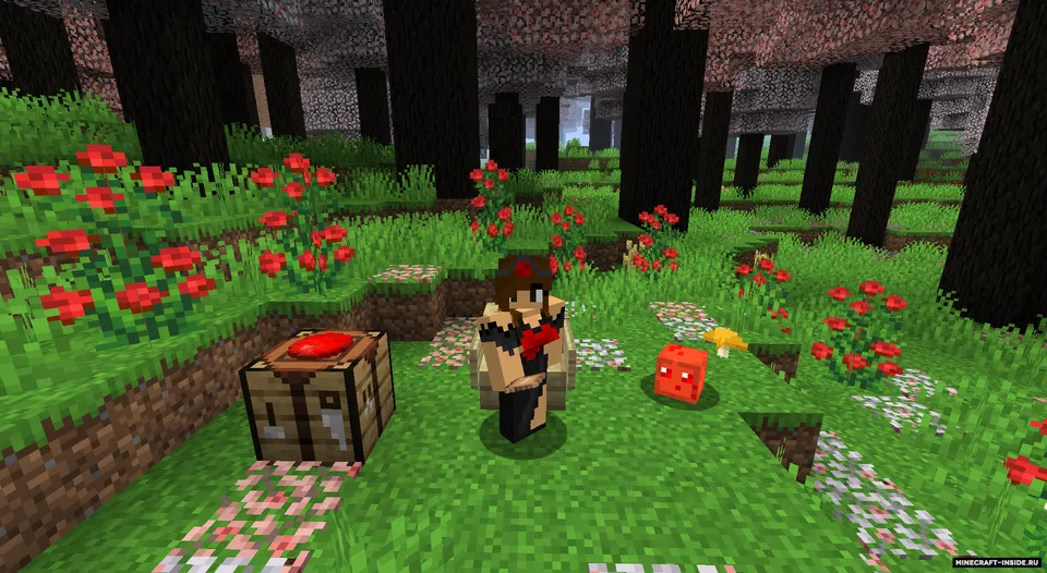 Paulu's Slimy — Minecraft mod, rasm 4