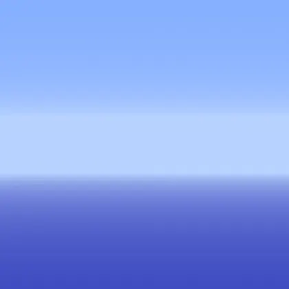 Custom Void