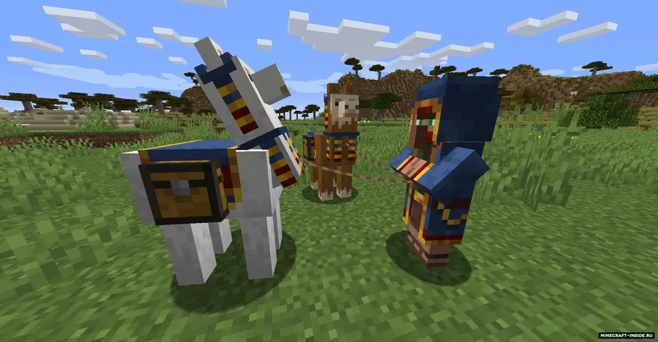 Evil Wandering Trader — Minecraft mod, rasm 2