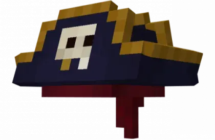 Pirate Hats