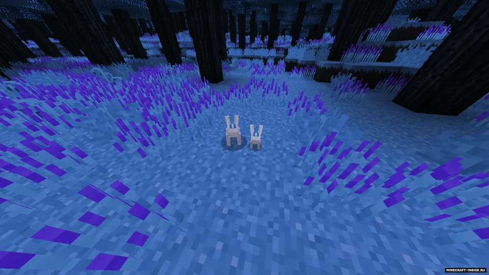The Aurorian — Minecraft mod, rasm 3