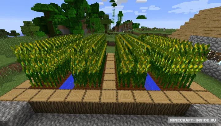Simple Corn — Minecraft mod, rasm 2