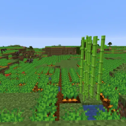 Dadobug1111's Biomes — Minecraft mod, rasm 1