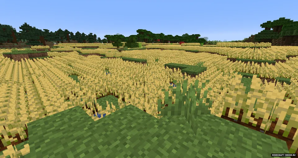 Dadobug1111's Biomes — Minecraft mod, rasm 3