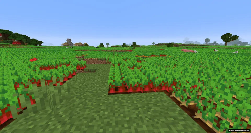 Dadobug1111's Biomes — Minecraft mod, rasm 4