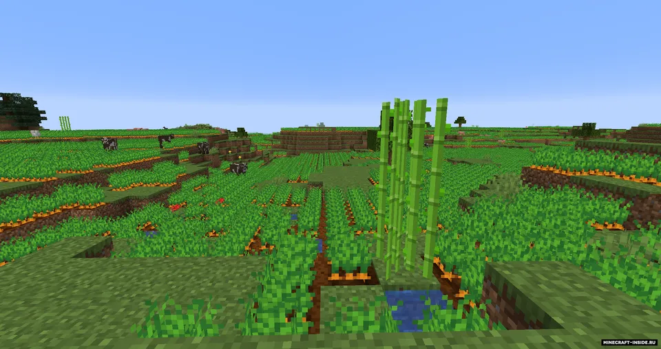 Dadobug1111's Biomes — Minecraft mod, rasm 5