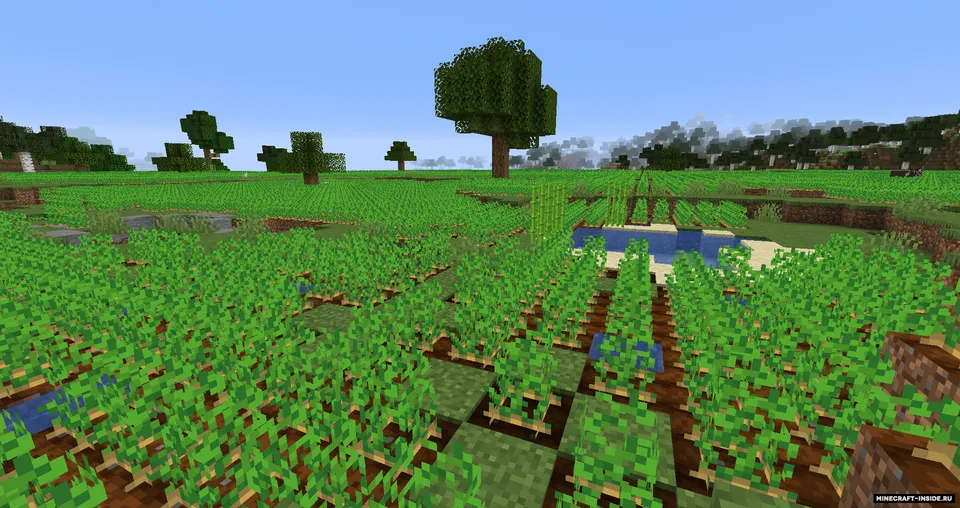 Dadobug1111's Biomes — Minecraft mod, rasm 6