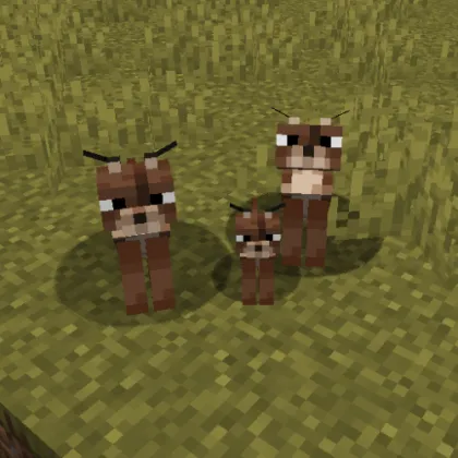 Caracal — Minecraft mod, rasm 1