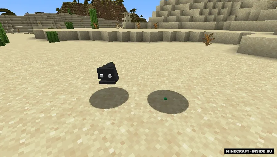 Aquarium — Minecraft mod, rasm 4