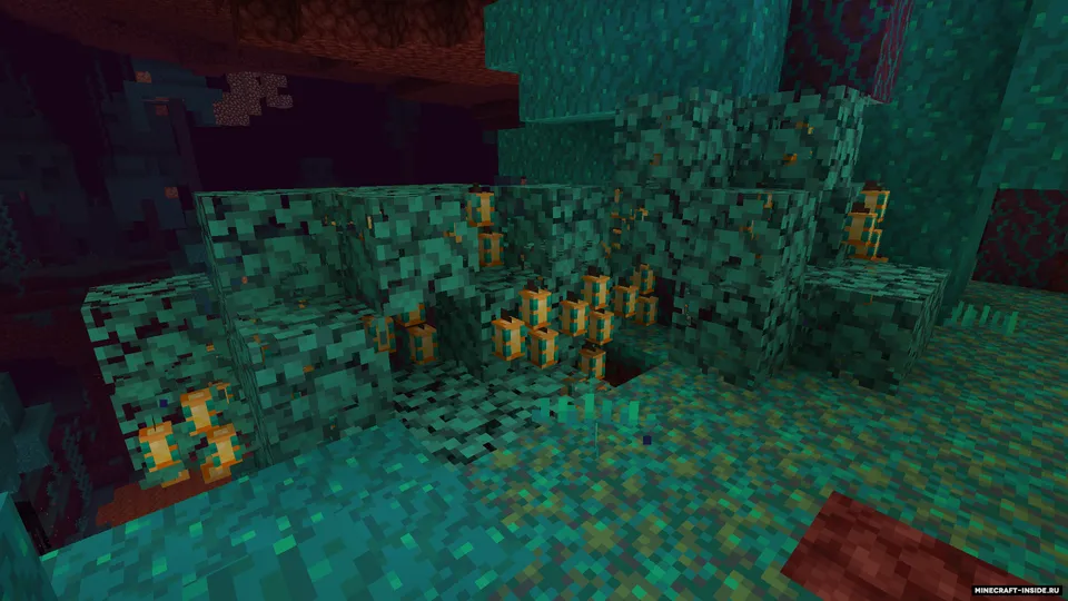 Nether's Exoticism — Minecraft mod, rasm 4