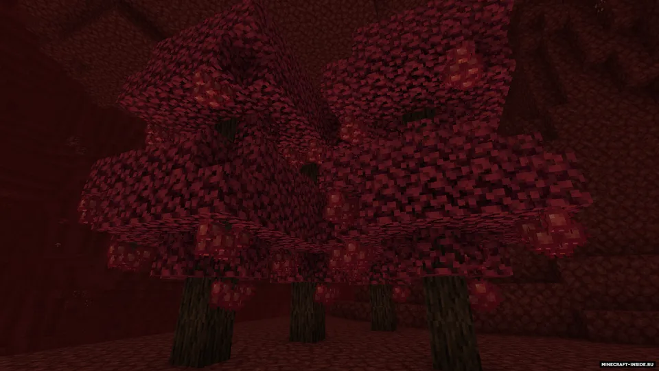 Nether's Exoticism — Minecraft mod, rasm 6