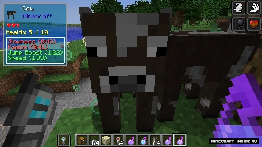 The One Probe — Minecraft mod, rasm 2