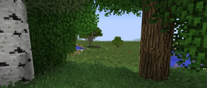 Better Foliage — Minecraft mod, rasm 2