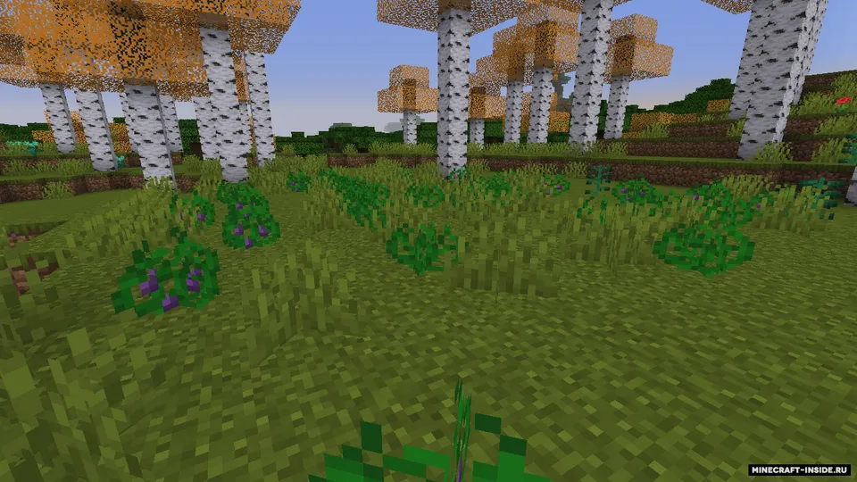 Birch forest update — Minecraft mod, rasm 2