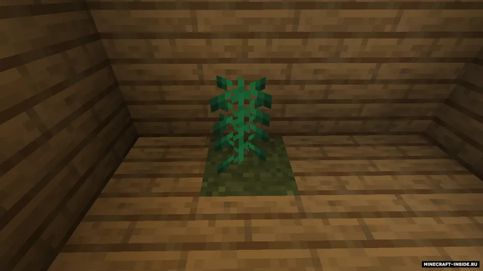 Birch forest update — Minecraft mod, rasm 3