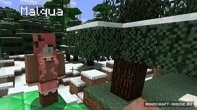 iPixeli's Gender — Minecraft mod, rasm 2