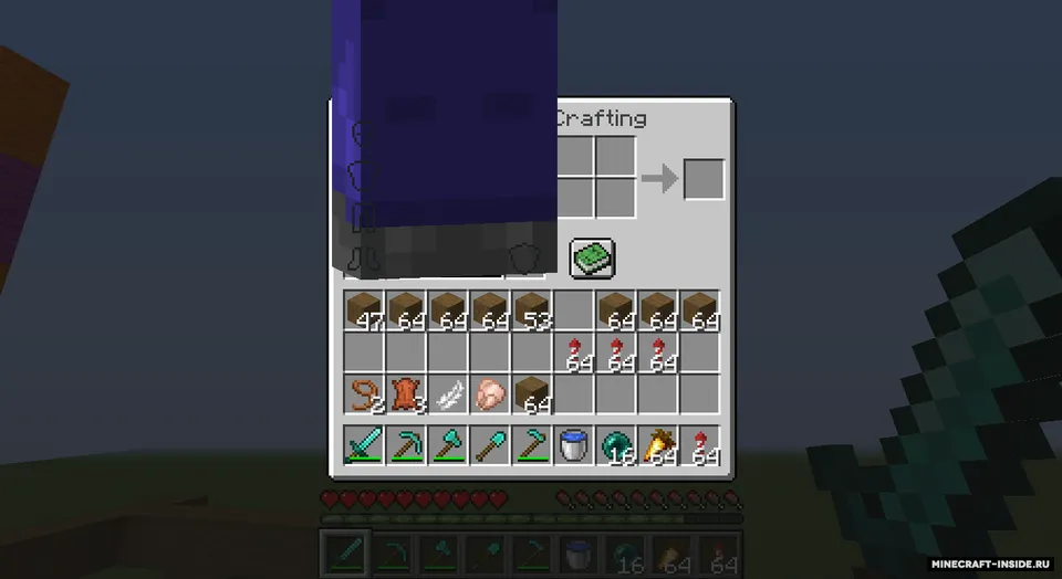 What am I? — Minecraft mod, rasm 5