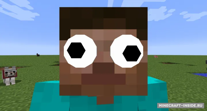 GooglyEyes — Minecraft mod, rasm 2