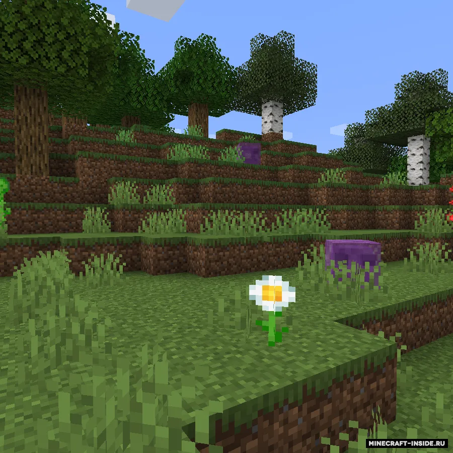 Terrarian Slimes — Minecraft mod, rasm 3