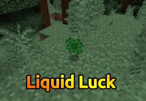 Liquid Luck