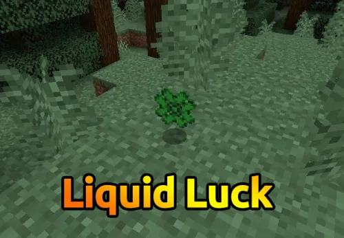 Liquid Luck — Minecraft mod, rasm 1