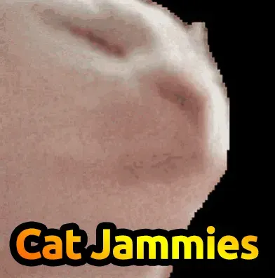 Cat Jammies