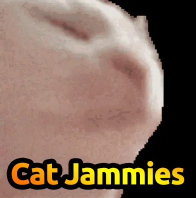 Cat Jammies — Minecraft mod, rasm 1