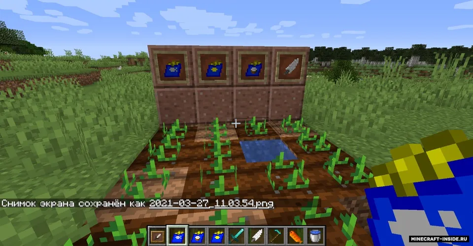 Fish and chips — Minecraft mod, rasm 2